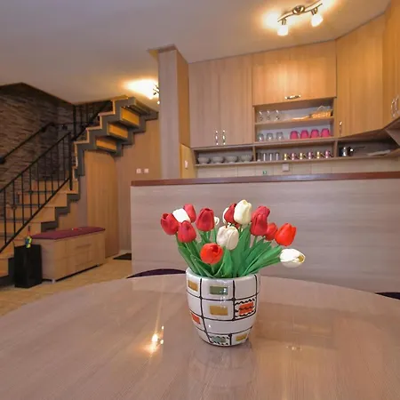 Apartment Gold Lux Vrnjacka Banja