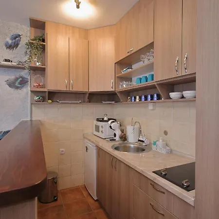 Apartment Gold Lux